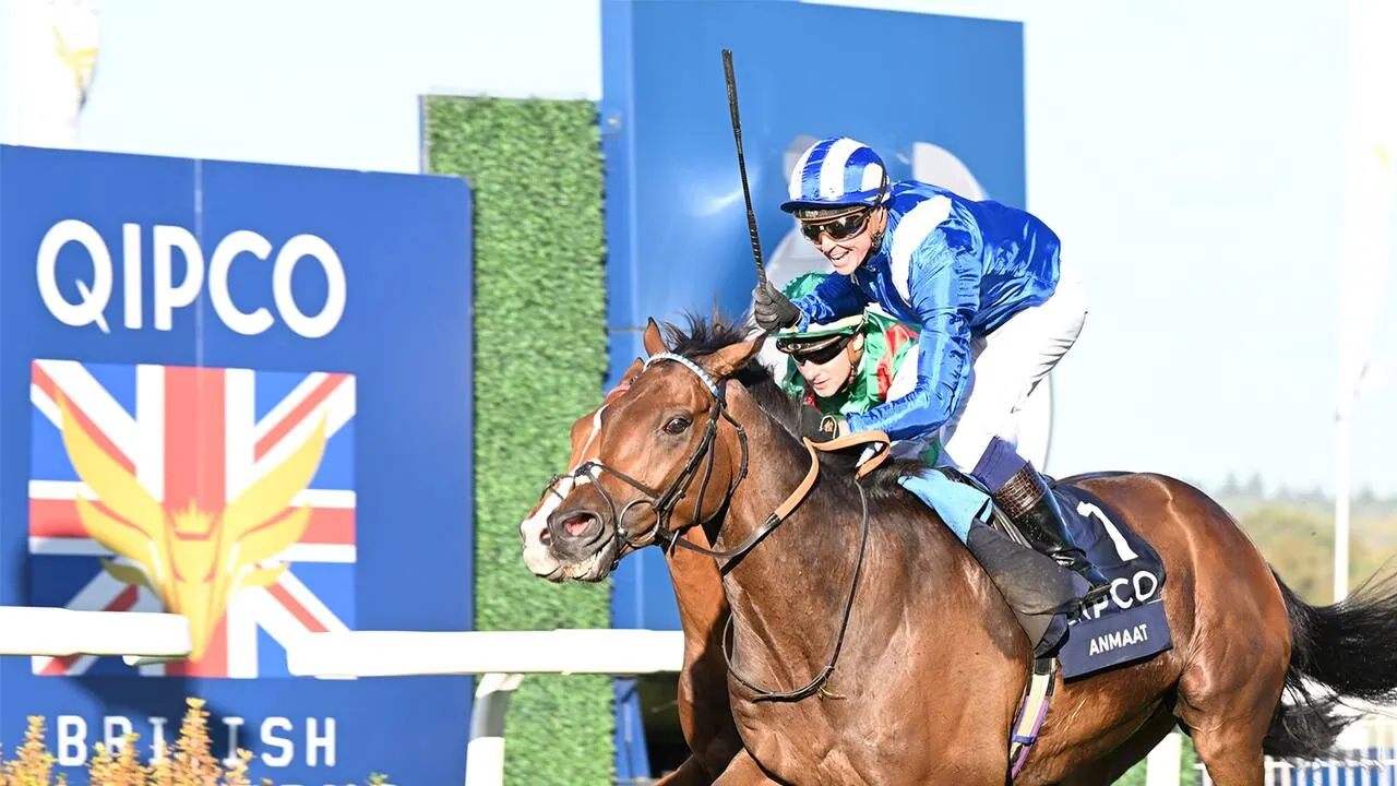 British Champions Stakes, bild från Viaplay