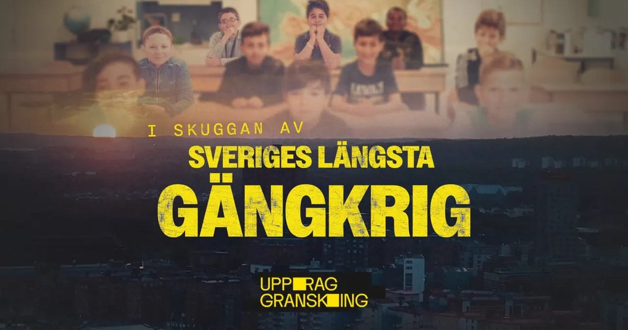 Uppdrag granskning: Sveriges längsta gängkrig, bild från SVT Play