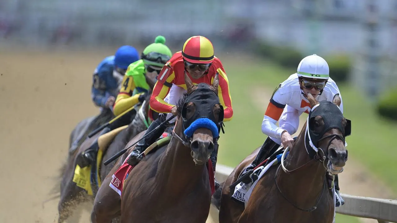 Breeders' Cup World Championships, bild från Viaplay