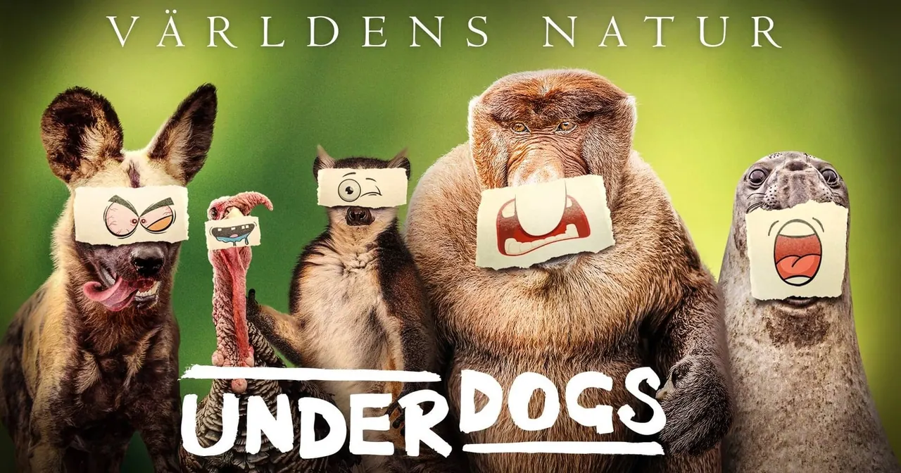 Världens natur: Underdogs, bild från SVT Play