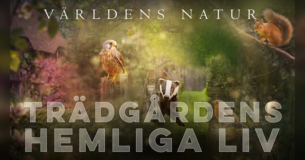 Världens natur: Trädgårdens hemliga liv, bild från SVT Play