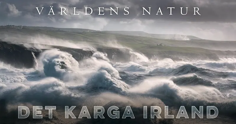 Världens natur: Det karga Irland, bild från SVT Play