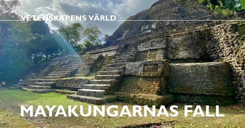 Mayakungarnas fall, bild från SVT Play