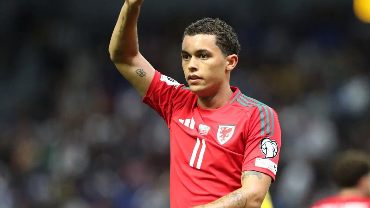 Wales – Norge, bild från Viaplay