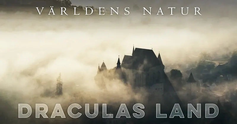 Världens natur: Draculas land, bild från SVT Play
