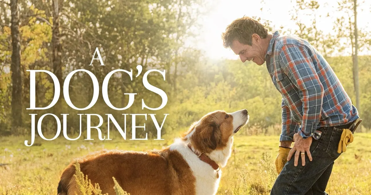 A Dog’s Journey, bild från TV4 Play