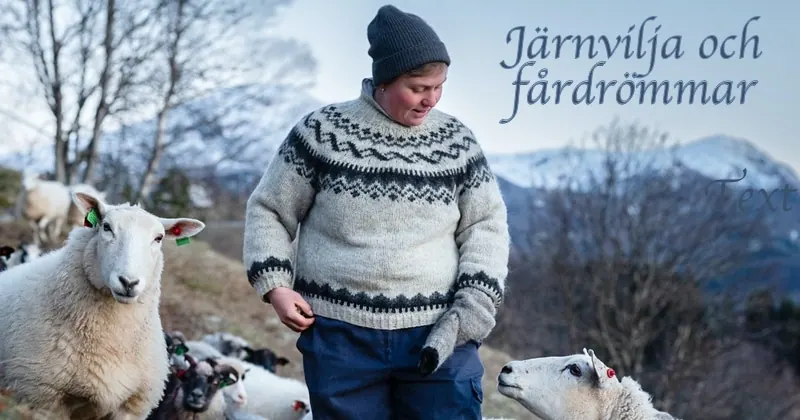 Järnvilja och fårdrömmar, bild från SVT Play