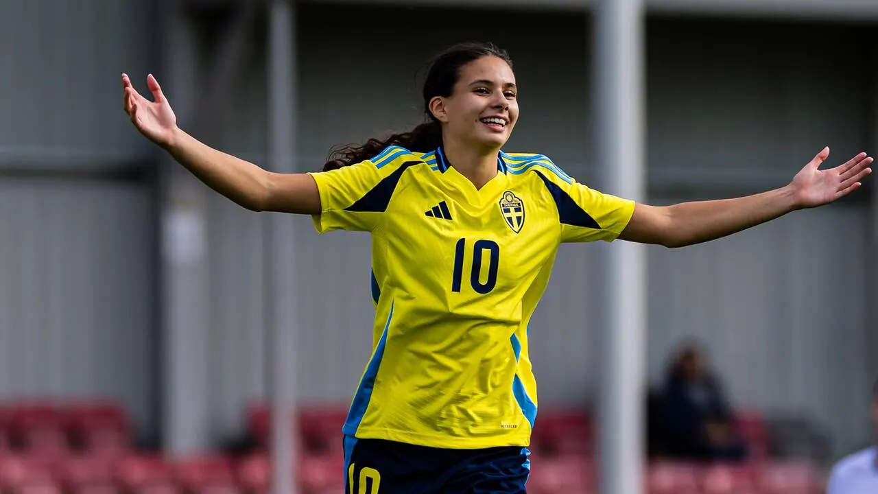 Sverige – Nederländerna, bild från Viaplay