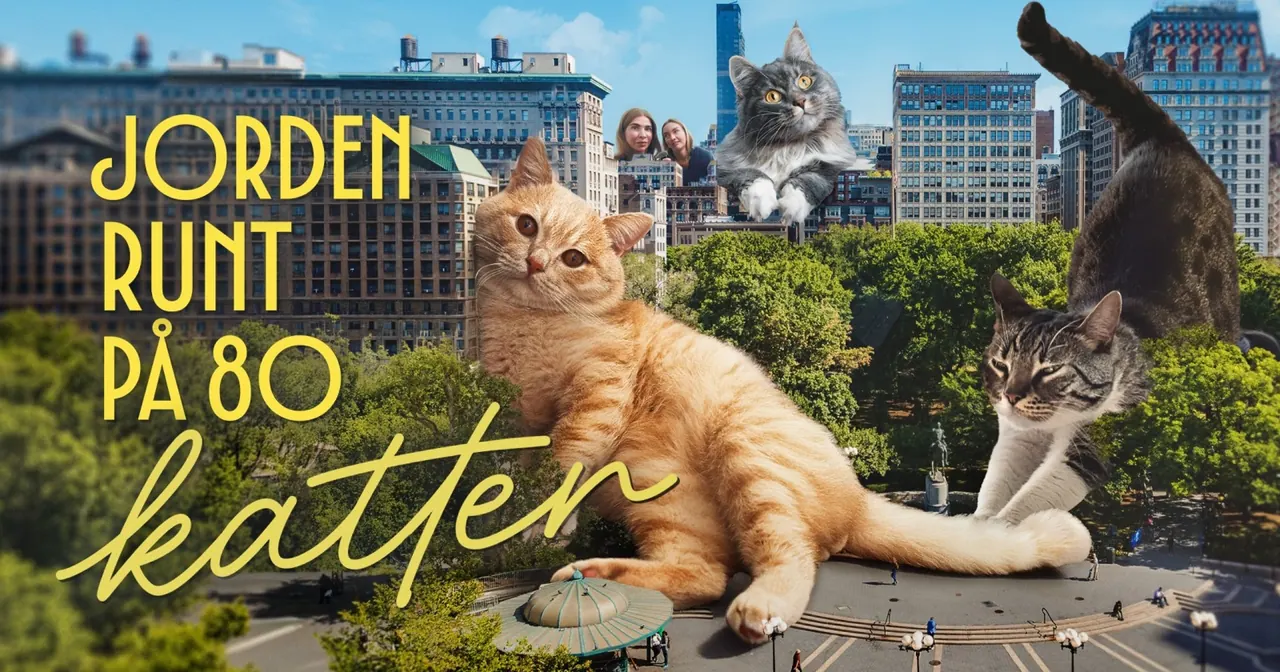 Jorden runt på 80 katter, bild från SVT Play