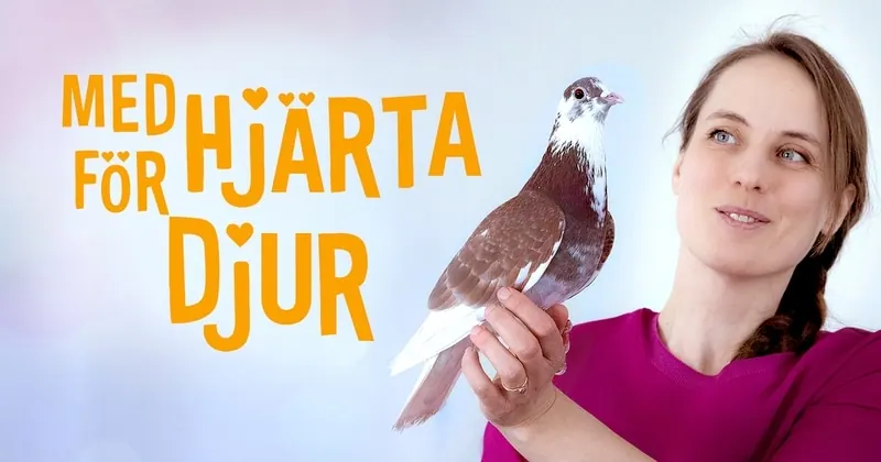 Med hjärta för djuren, bild från SVT Play