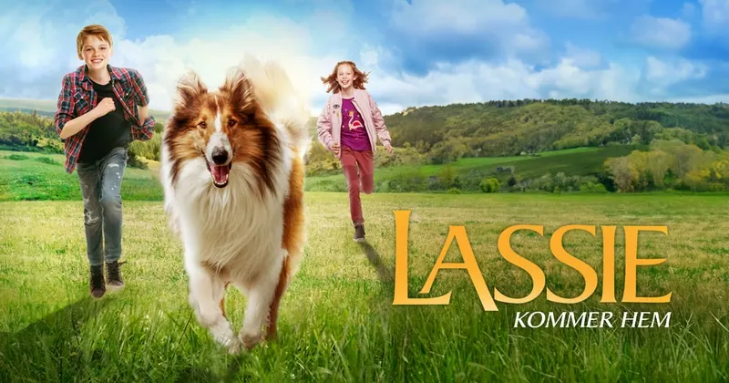 Lassie kommer hem, bild från SVT Play